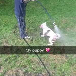 Meet your Posher, Abby